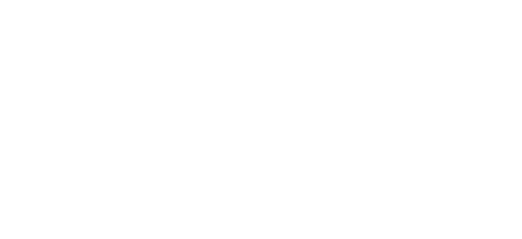 The Influencer Files